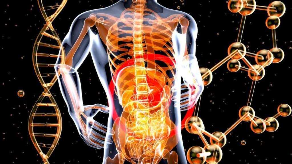 Understanding Uric Acid and Its Role in Kidney Stones: A Comprehensive Guide 6 Symptoms and Diagnosis of Uric Acid and Its Role in Kidney Stones